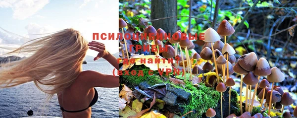гашик Нягань